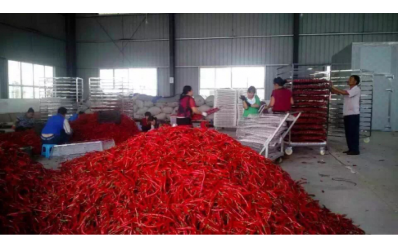 2021貴州辣椒加工產(chǎn)值150億元以上，空氣源熱泵烘干迎來爆發(fā)機遇